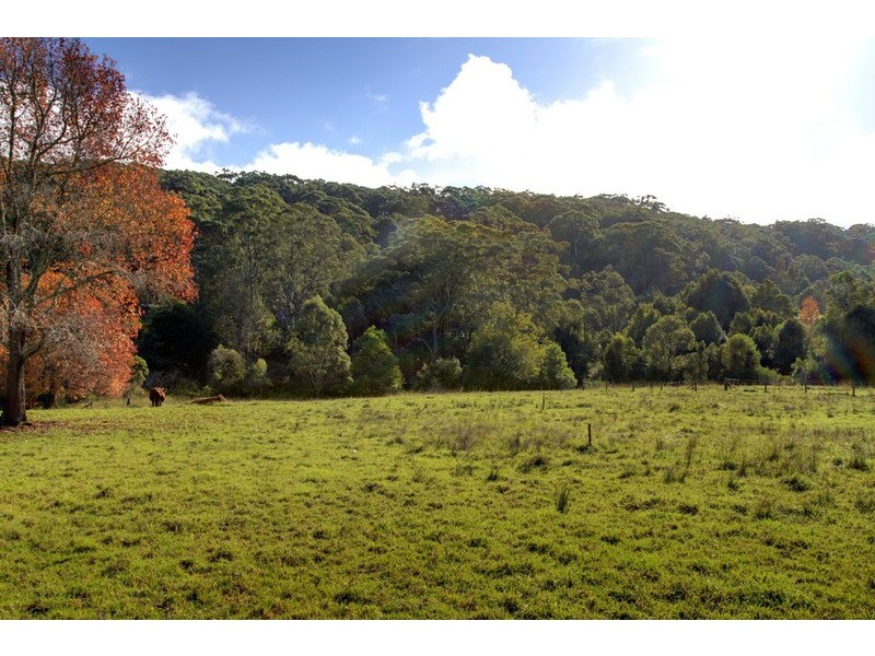 163 Matcham  Road, Matcham NSW 2250