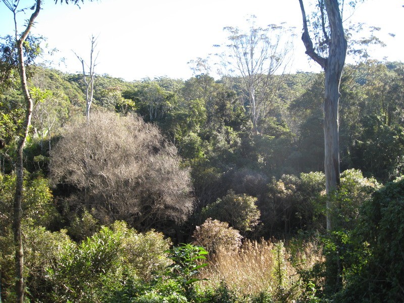 36 Kerns Road, Kincumber NSW 2251