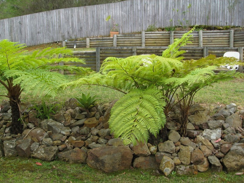 20 Gumnut Close, Glenning Valley NSW 2261