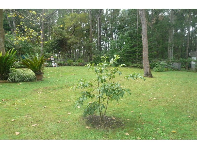 1/598 Tumbi  Road, Wamberal NSW 2260