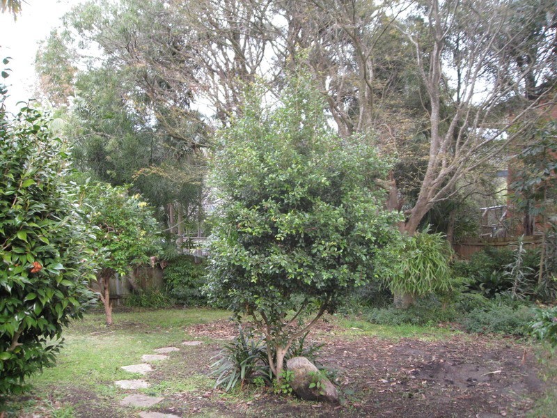 21 Seaview Avenue, Wamberal NSW 2260