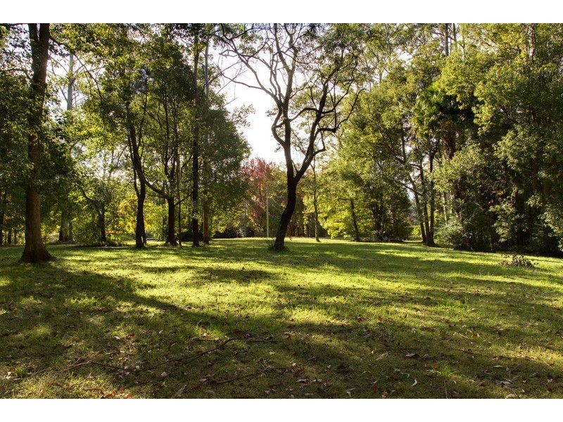 202 Wattle Tree  Road, Holgate NSW 2250