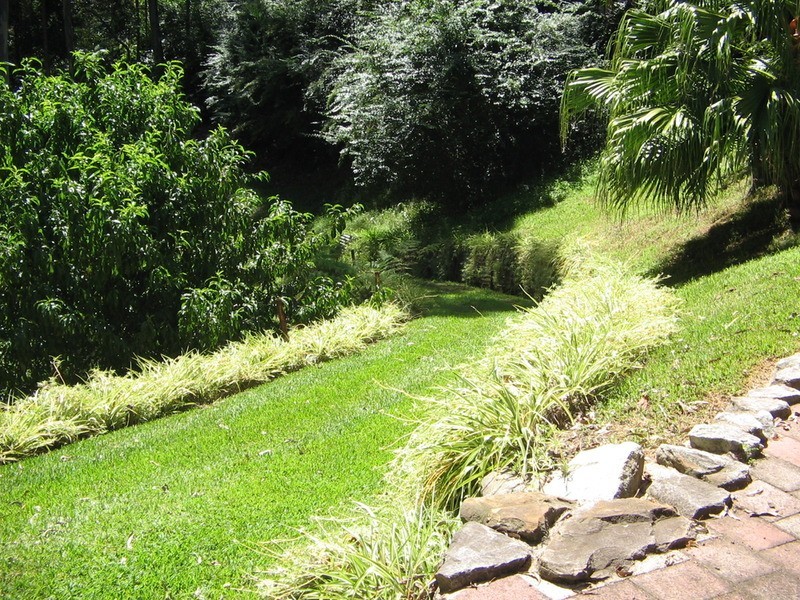 231 Wattle Tree  Road, Holgate NSW 2250