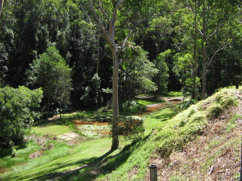 231 Wattle Tree  Road, Holgate NSW 2250