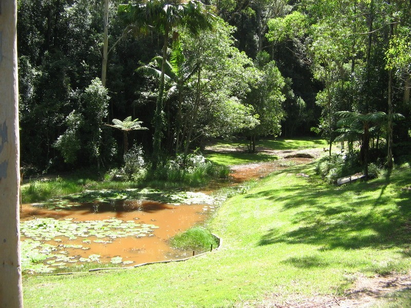 231 Wattle Tree  Road, Holgate NSW 2250