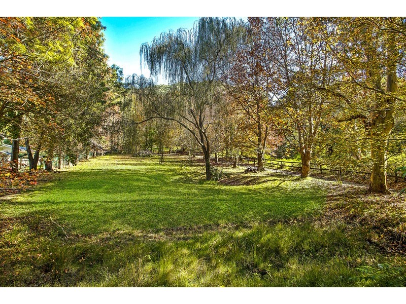 441 Tumbi Road, Wamberal NSW 2260