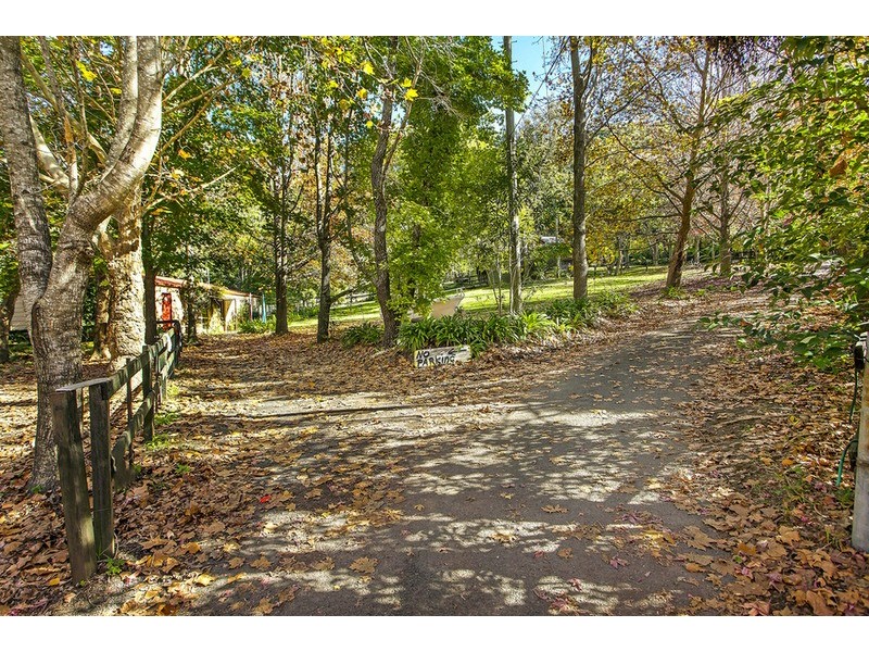 441 Tumbi Road, Wamberal NSW 2260