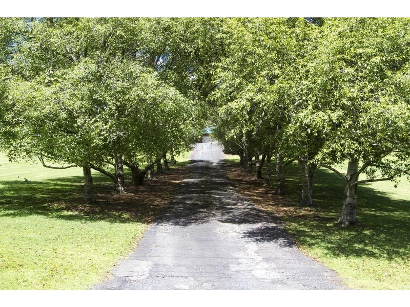 190 Hastings Road, Terrigal NSW 2260