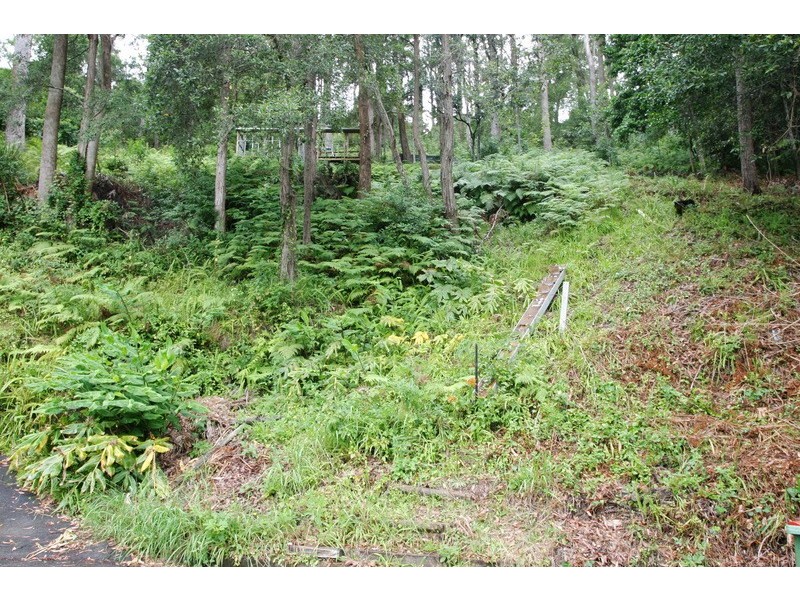 20 Duncan Road, North Avoca NSW 2260