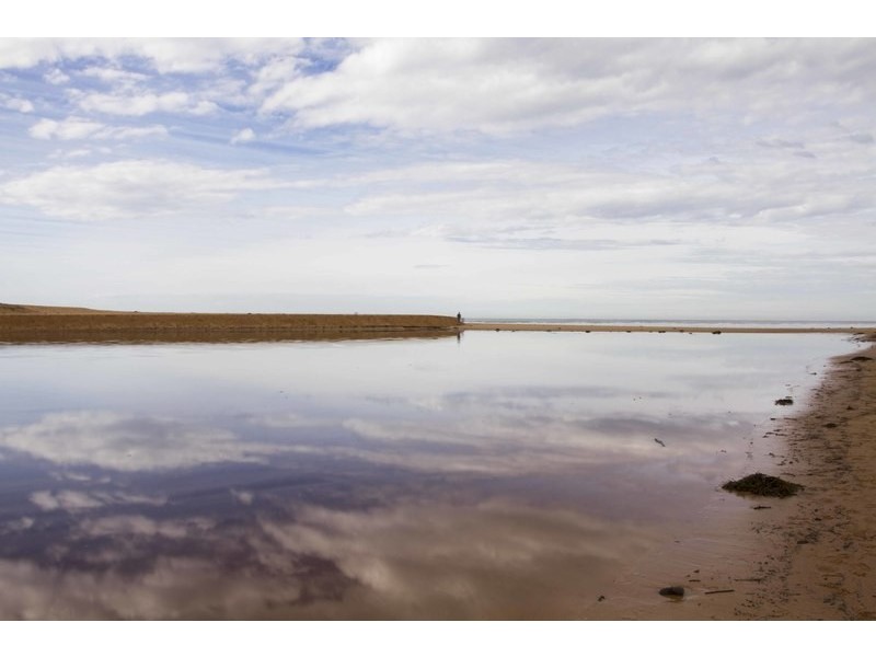 24 Bluebell Drive, Wamberal NSW 2260