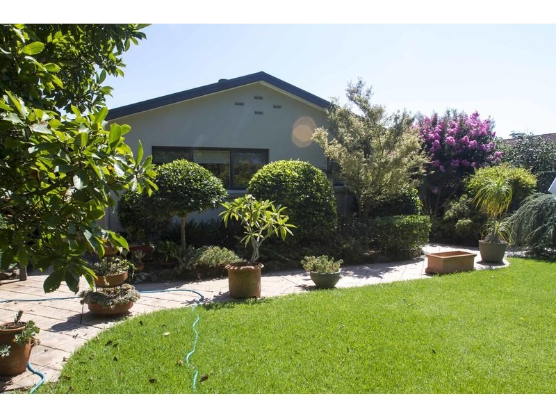 52 Windsor Road, Wamberal NSW 2260
