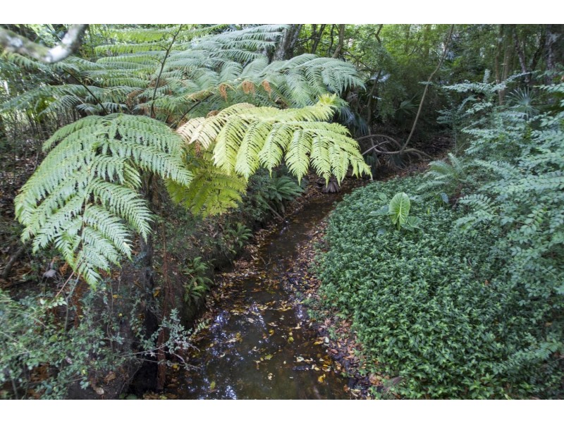 139 Coachwood Road, Matcham NSW 2250