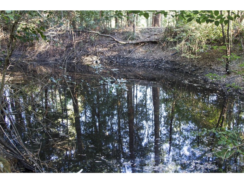 220 Matcham Road, Matcham NSW 2250