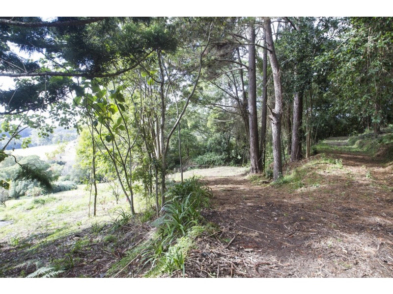 220 Matcham Road, Matcham NSW 2250