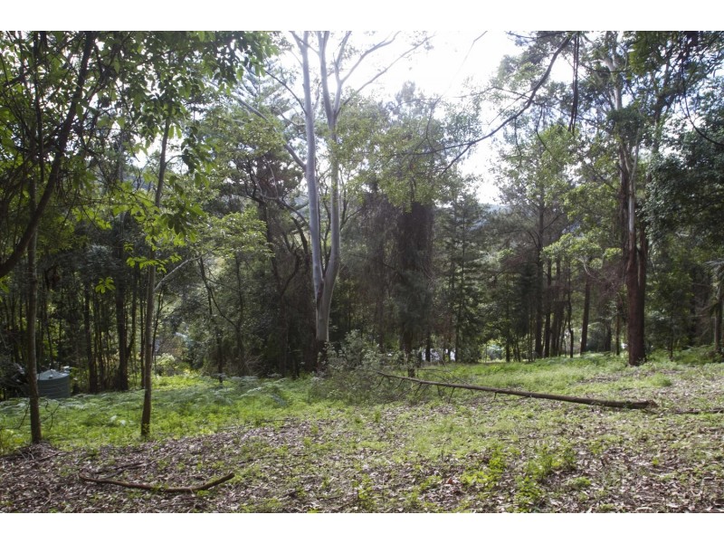 220 Matcham Road, Matcham NSW 2250