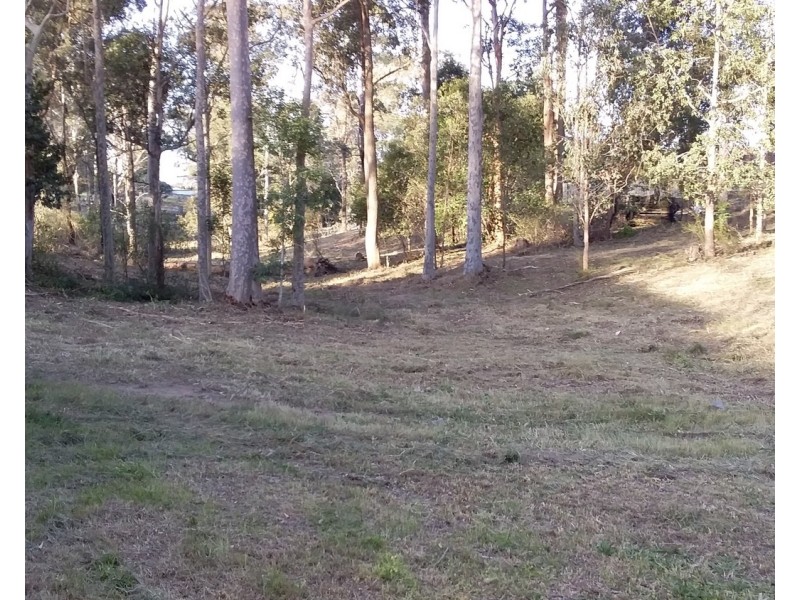 29 McPherson Road, Wingham NSW 2429