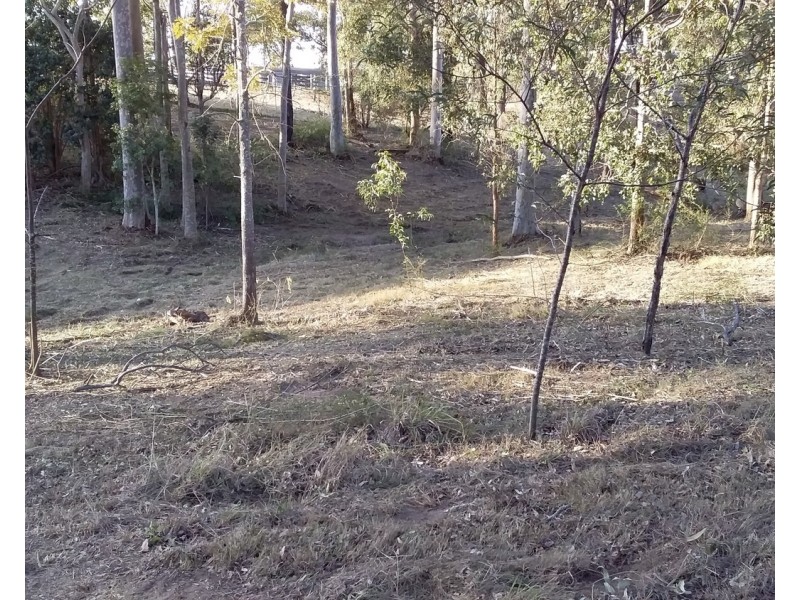 29 McPherson Road, Wingham NSW 2429