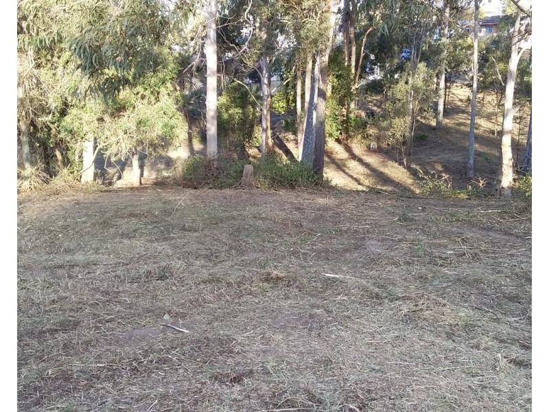 29 McPherson Road, Wingham NSW 2429