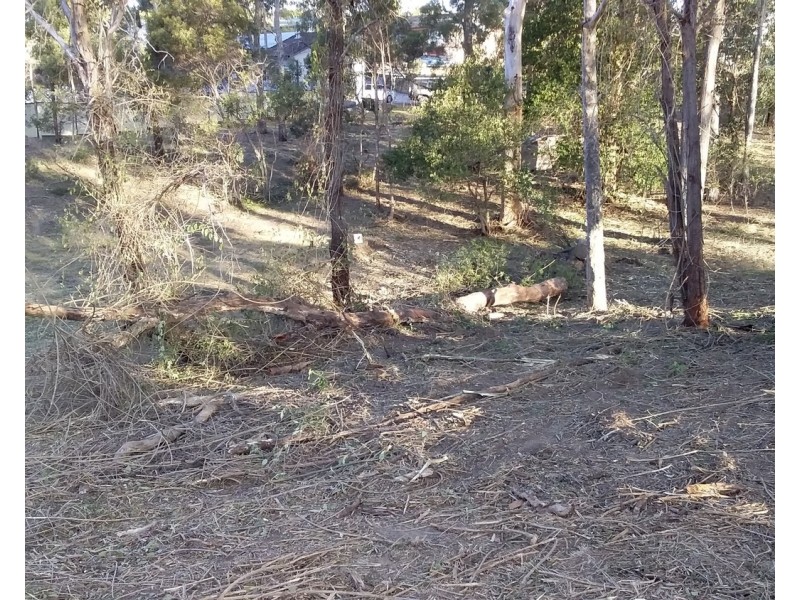 29 McPherson Road, Wingham NSW 2429