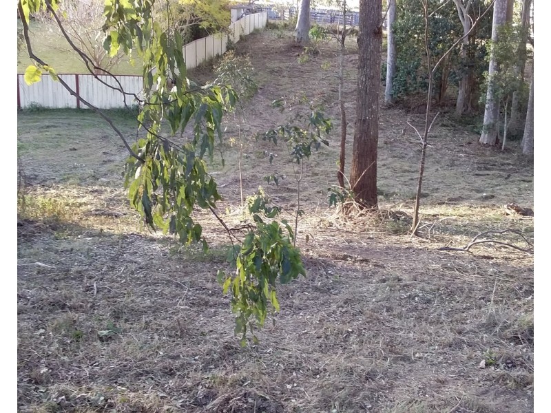 29 McPherson Road, Wingham NSW 2429