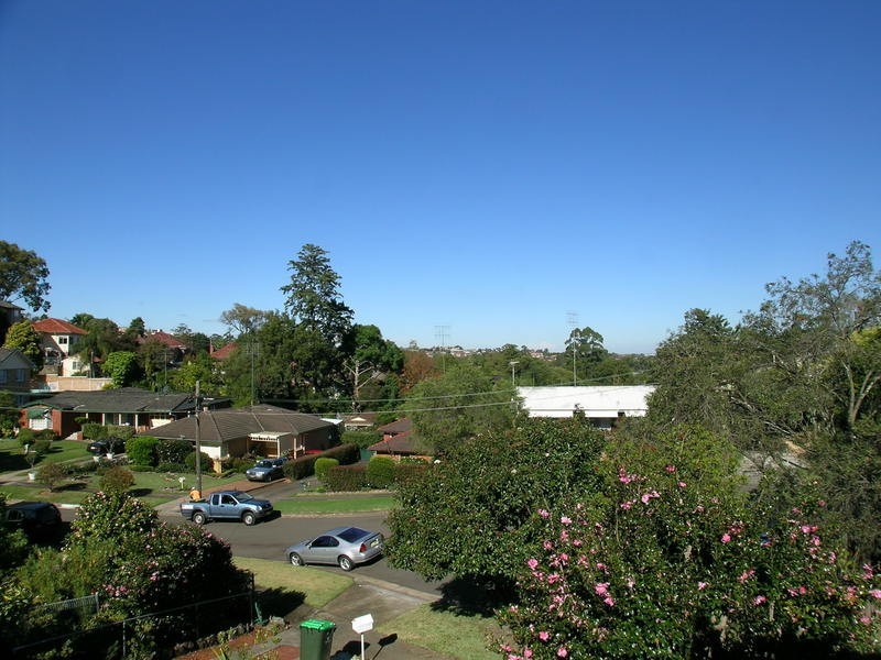 7 Lund Street, Denistone NSW 2114