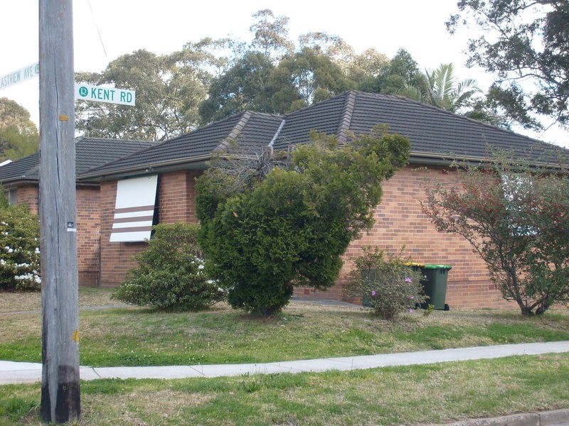 119 Eastview Avenue, North Ryde NSW 2113