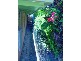 19 Elsie Street, Banora Point NSW 2486