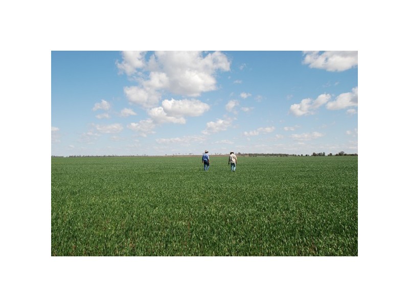 1050 Talwood Road, Meandarra QLD 4422