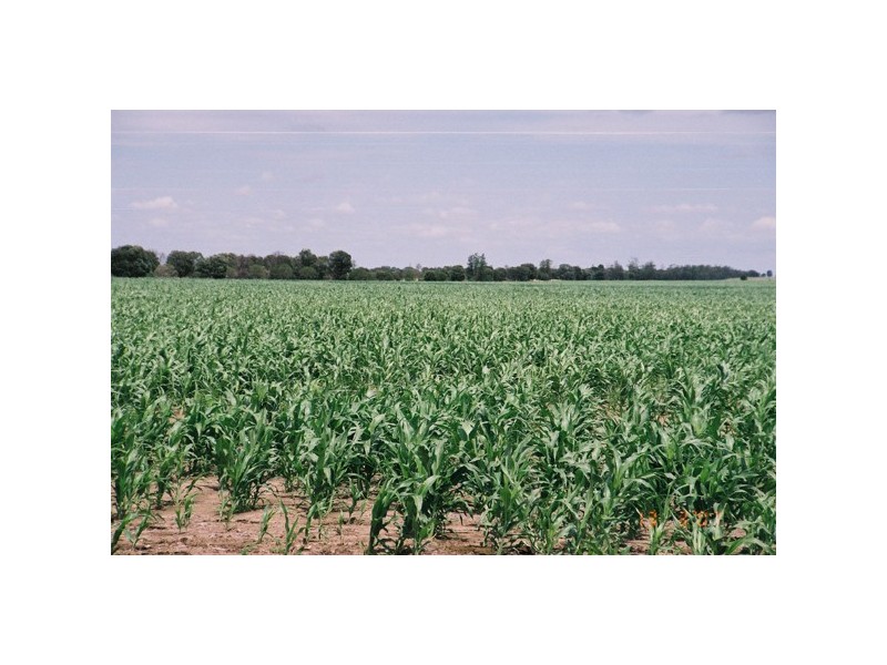 1050 Talwood Road, Meandarra QLD 4422