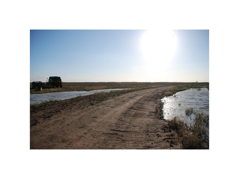 1050 Talwood Road, Meandarra QLD 4422