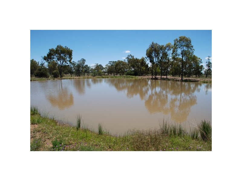 1050 Talwood Road, Meandarra QLD 4422