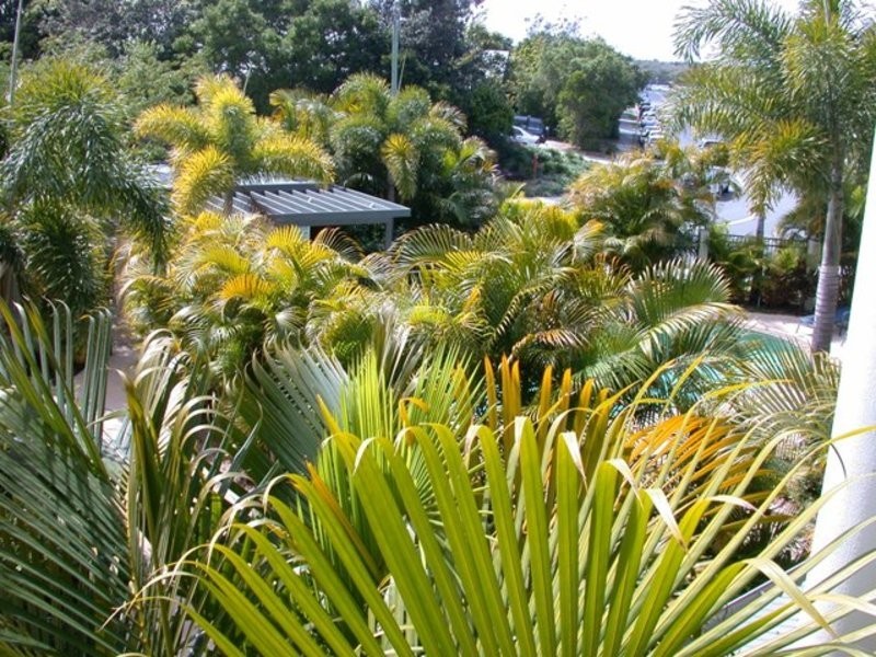 10/17 Powell Street, Tweed Heads NSW 2485