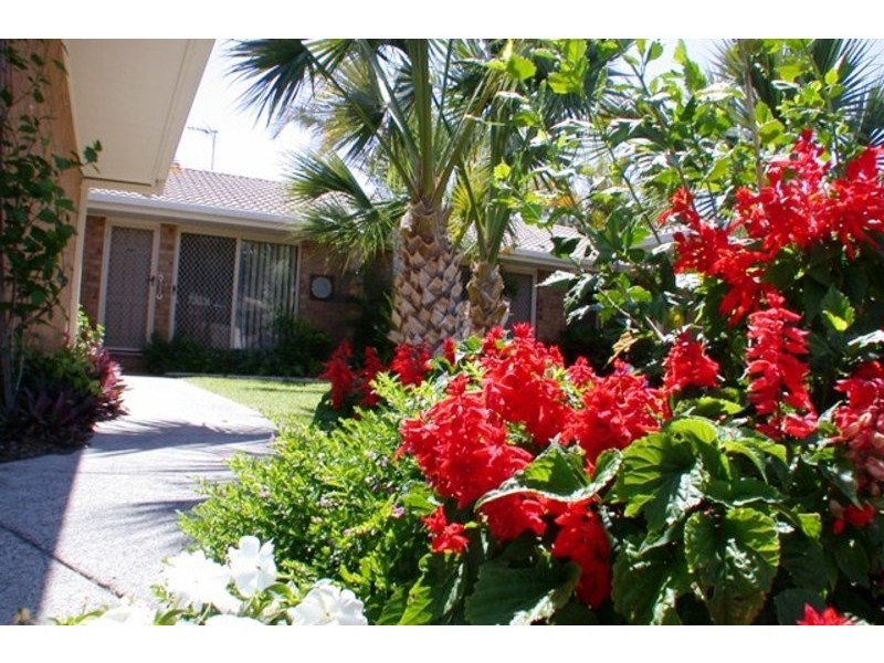 241 The Grove, Tweed Heads NSW 2485