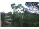 52 Stapylton Street, Coolangatta QLD 4225