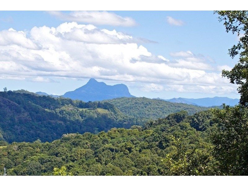 225 Carool Road, Bilambil Heights NSW 2486