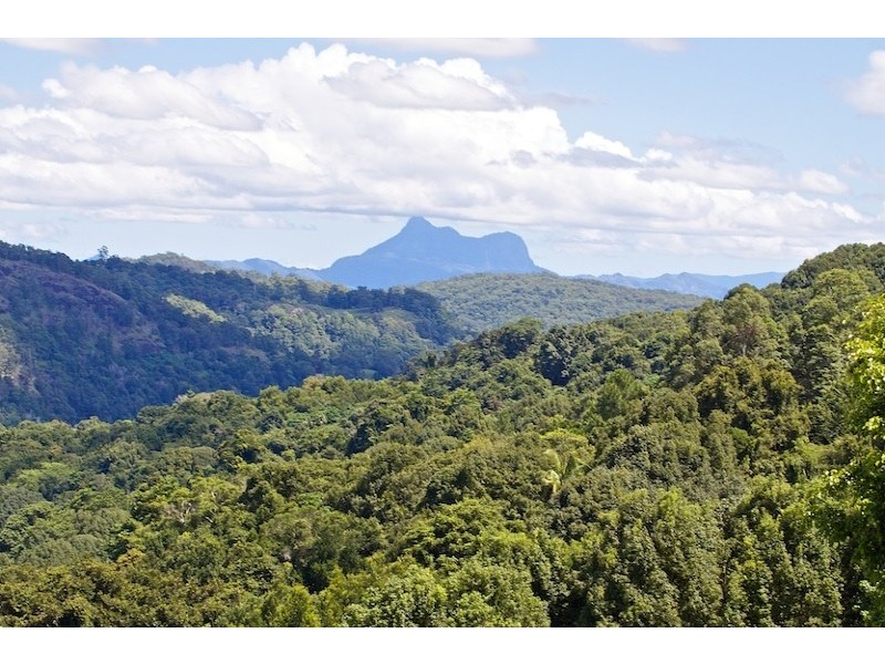 225 Carool Road, Bilambil Heights NSW 2486