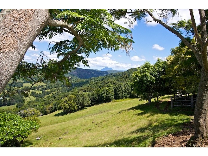 225 Carool Road, Bilambil Heights NSW 2486