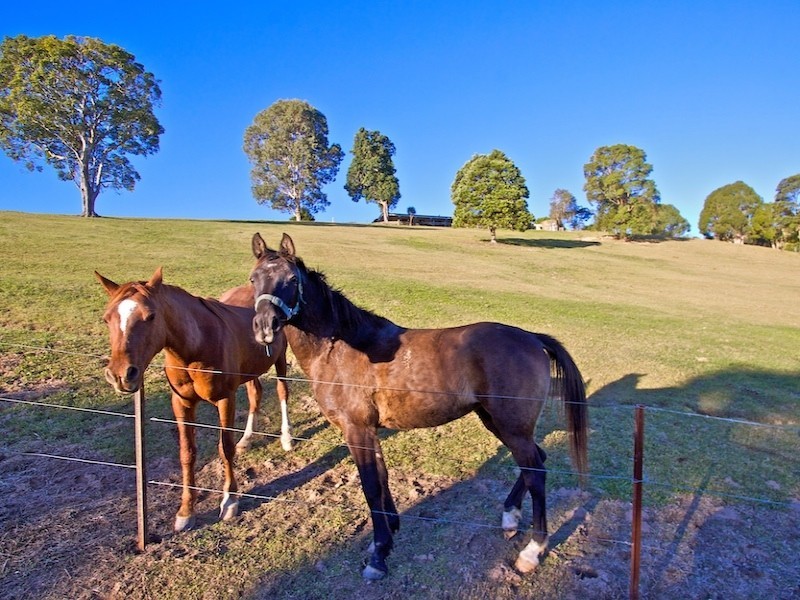 Lot 1 Eva Crescent, Tweed Heads West NSW 2485