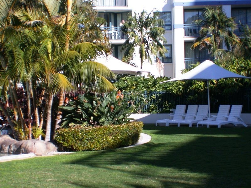 242/99 Calypso Plaza, Coolangatta QLD 4225