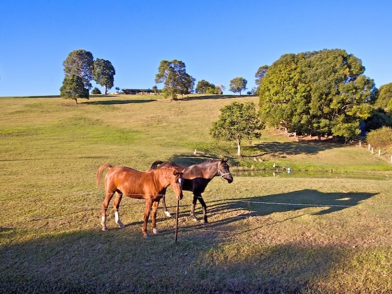Lot 1 Eva Crescent, Tweed Heads West NSW 2485