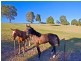 Lot 1 Eva Crescent, Tweed Heads West NSW 2485