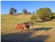 Lot 1 Eva Crescent, Tweed Heads West NSW 2485