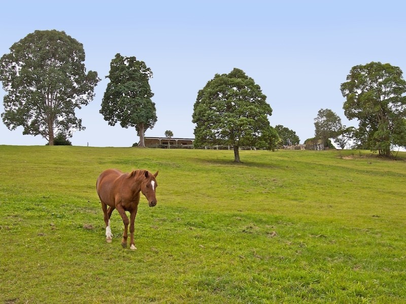 Lot 1 Eva Crescent, Tweed Heads West NSW 2485