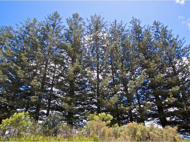 Lot 46 Sunnycrest Drive, Terranora NSW 2486