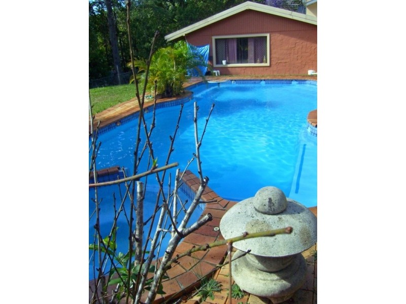 8 Urliup Road, Bilambil NSW 2486