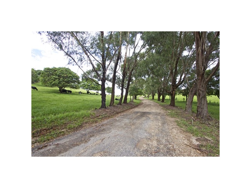 108 Old Lismore Road, Murwillumbah NSW 2484