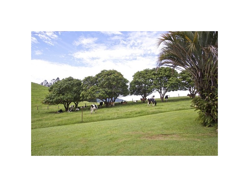108 Old Lismore Road, Murwillumbah NSW 2484