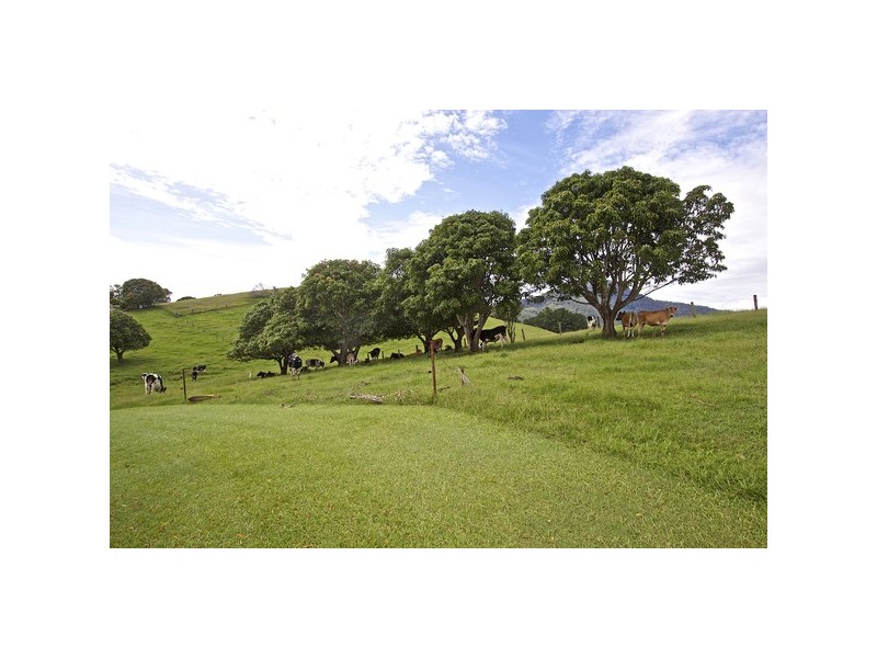108 Old Lismore Road, Murwillumbah NSW 2484