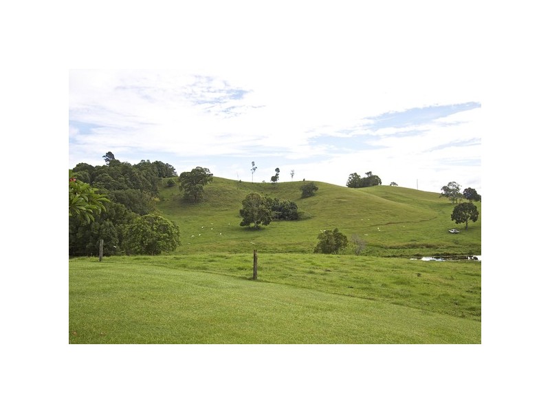 108 Old Lismore Road, Murwillumbah NSW 2484