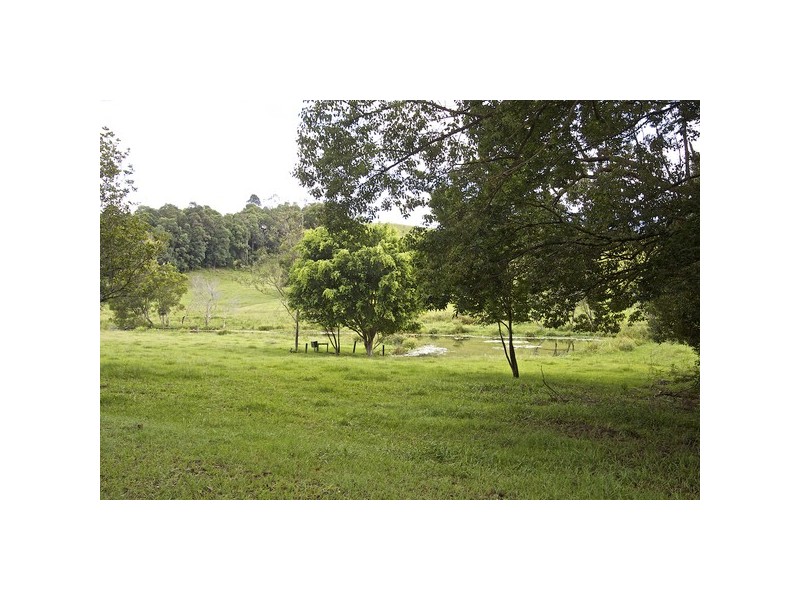 108 Old Lismore Road, Murwillumbah NSW 2484